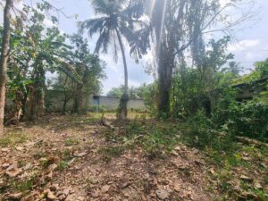 Land for sale in minuwangoda