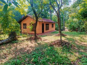 පදිංචි විය හැකි නිවස නොමිලේ