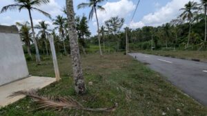 Land for sale in kalagedihena