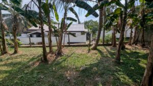 Land for sale in weliweriya
