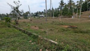 මිරිස්වත්තෙන් වටිනා ඉඩමක් විකිණීමට