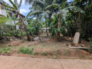 Land for sale in kadawatha