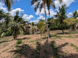 Land for sale in gampaha