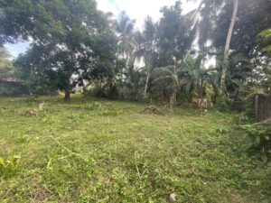 Land for sale in Homagama