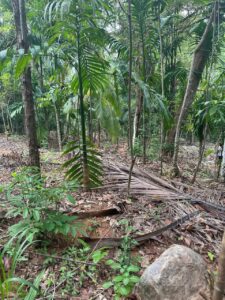 නිට්ටඹුව – රුවන්වැල්ල පාරට මායිම් වටිනා විශාල ඉඩමක්