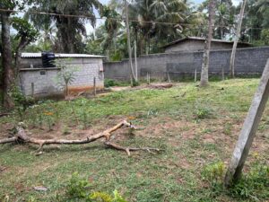 Land for sale in kirindiwela