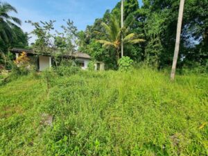 Land for sale in veyangoda