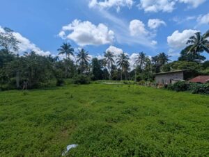 Land for sale in diulapitiya