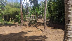 මීරිගම Town එකට පයින් යන දුරින් වටිනා ඉඩමක් විකිණීමට!