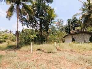 නයිවල තාක්ෂණ විද්‍යාලයට ආසන්නයෙන් ‎වටිනා ඉඩමක් විකිණීමට