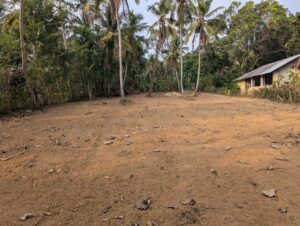 Land for sale in Naiwala
