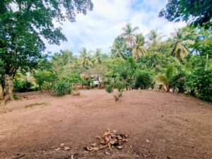 යක්කල – මහවිට | කාපට් පාරට මුහුණලා පර්චස් 6 ක වටිනා ඉඩමක් විකිණීමට