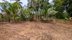 ඌරාපොල – බෝපැත්තෙන් වටිනා බිම් කොටසක් වහාම විකිණීමට