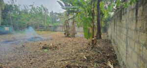 වේයන්ගොඩ – වටිනා ඉඩමක් විකිණීමට!