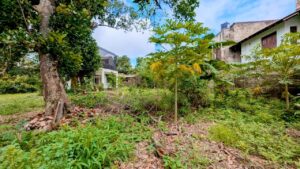 Land for sale in hunupitiya