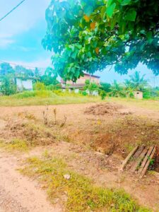 Land for sale in Hanwella