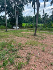 අඩි 20 මාර්ග පහසුකම් සහිත පර්චස් 12.5 ක නේවාසික ඉඩමක් විකිණීමට