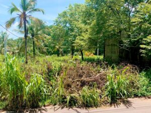 Land for sale in Ganemulla
