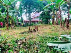 Land for sale in Ganemulla