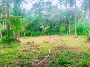 Land for sale in Katunayaka