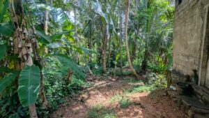 Land for sale in kadawatha
