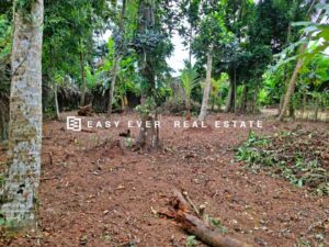 Land for sale in Balummahara