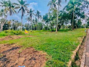 වේයන්ගොඩ මල්ලැහැව ප්‍රධාන පාරට මුහුණලා Prime Land ව්‍යාපාරික බිම් කොටසක් විකිණීමට