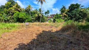 Land for sale in pothuhera