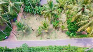 වේයන්ගොඩ – හීන්දෙනියෙන් වටිනා ව්යාපාරික ඉඩමක් විකිණීමට