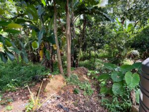 PRIME LAND FOR SALE IN THALAWATHUGODA