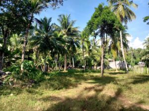 Land for sale in Veyangoda