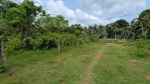 කඩවත – වෑබඩින් වටිනා නේවාසික ඉඩමක් විකිණීමට
