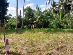 Land for sale in Nittambuwa