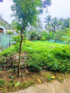 නවගමුව නගරයෙන් වටිනා ඉඩමක් විකිණීමට
