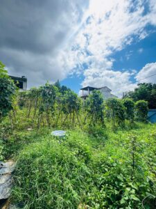 කඩුවෙල – රනාලින් වටිනා නේවාසික ඉඩමක් ලක්ෂ 42කට