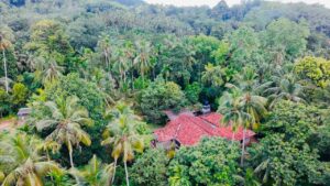 අදායමක් සහිත පර්චස් 134 ක ඉඩමක් හා කාමර 5ක අංගසම්පූර්‍ර්ණ නිවසක් විකිණිමට