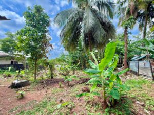 Land for sale in Piliyandala