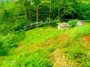 හපුතලේ නගර මධ්‍යයෙන් පර්චස් 36ක මීදුම් පාරාදීසයෙන් අගනා බිම් කොටසක් විකිණීමට