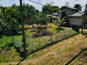 හොරණ පාරට 1kmක් දුරින් පර්චසයක් ලක්ෂ 2.15/-ට රයිගමින් අගනා බිම් කොටසක් විකිණීමට