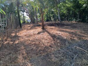 ගම්පහ නගරයට ආසන්නයෙන් අඩුම මිලට වටිනා නේවාසික ඉඩමක්