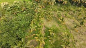 Land for sale in Kurunegala