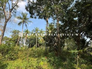Land for sale in Kurunegala