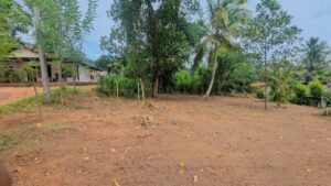 මීරිගම අධිවේගී පිවිසුමට ඉතා ආසන්නයෙන් පර්චස් 17 ක වටිනා නේවාසික ඉඩමක් දැන් විකිණීමට ‎