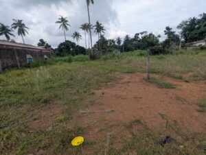 Land for sale in yakkala