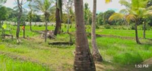 දඹුල්ල මහ නගර සභා සීමාවේ – Hotel / Resort ව්‍යාපාරයකට අගනා ඉඩමක් විකිණීමට