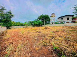 දෙවලපොල පැරඩයිස් හෝම්ස් මාවතින් වටිනා ඉඩමක් විකිණීමට