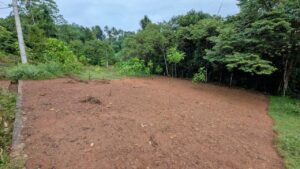 නිට්ටඹුව – එල්ලක්කල (තැඹිලි කොටුව පාරෙන්) වටිනා ඉඩමක් විකිණීමට!