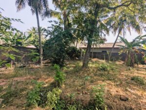ඒකල – ගුවන් හමුදා කඳවුර අසලින් වටිනා බිම් කොටසක් විකිණීමට