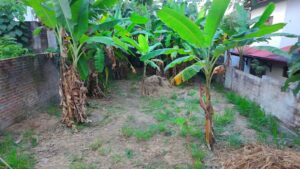 කඩවතින් වටිනා ඉඩමක් විකිණීමට