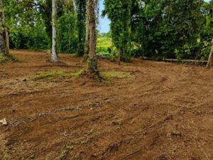නුවර පාරට 600m ක් දුරින් කඩවත ඉබුල්ගොඩින් සුපිරි ඉඩමක්
